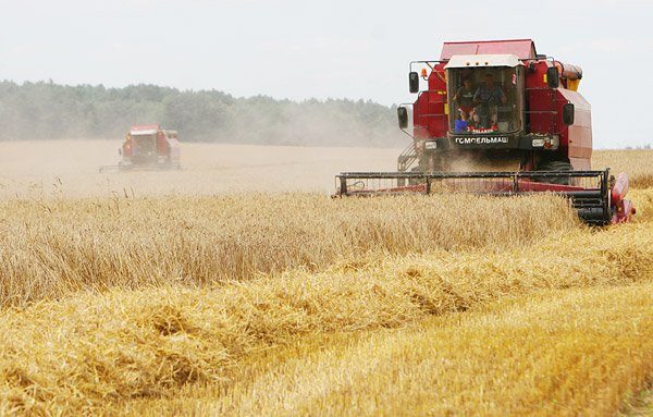 В Саратовской области собрали самый большой урожай в ПФО