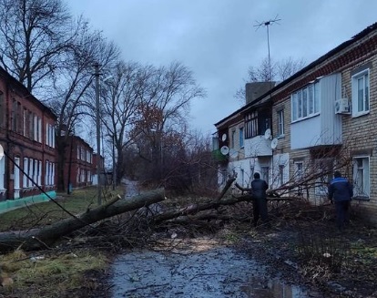 Прошедший ураган в Ртищево повалил деревья